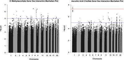 Effect modification by sex of genetic associations of vitamin C related metabolites in the Canadian Longitudinal study on aging